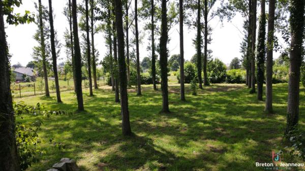 Contemporaine EXCEPTIONNELLE de 249 m² à Louvigné du Désert