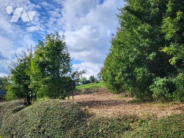Terrain à bâtir à vendre à AMPLIER (62760), sur 887 m² - Façade 25m