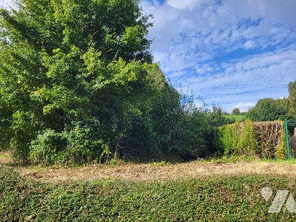 Terrain à bâtir à vendre à AMPLIER (62760), sur 887 m² - Façade 25m