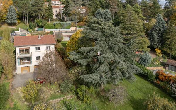 Maison à vendre    11 pièces • 264,48 m2 Saint-Cyr-au-Mont-d'Or