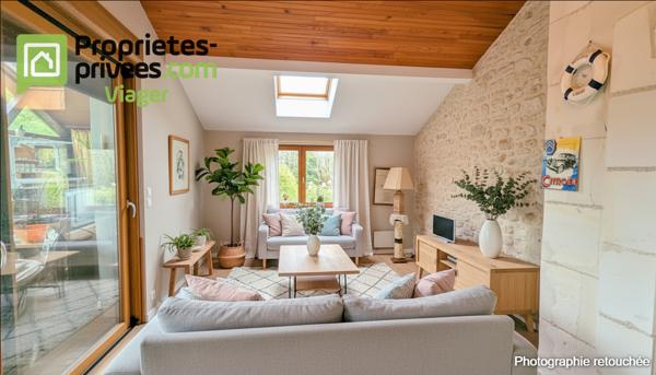 Viager occupé .Chaumont sur Loire 41