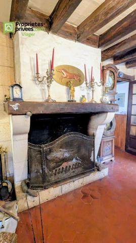 Viager occupé .Chaumont sur Loire 41