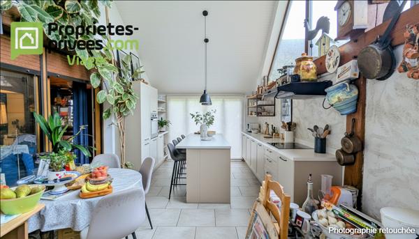 Viager occupé .Chaumont sur Loire 41