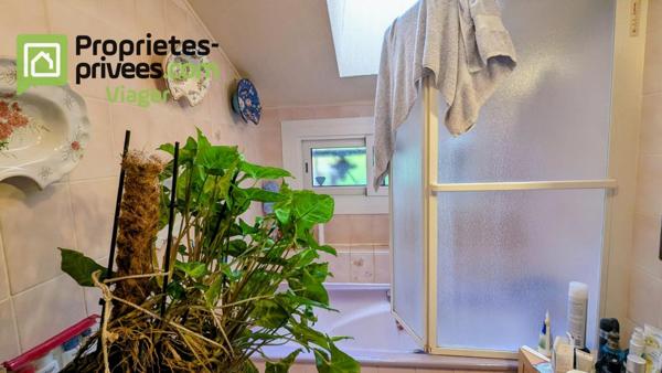 Viager occupé .Chaumont sur Loire 41