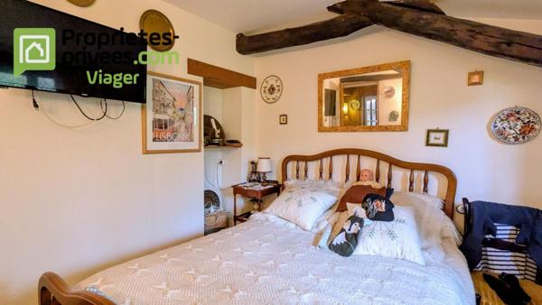 Viager occupé .Chaumont sur Loire 41