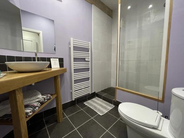 Vente Maison 9 pièces 201 m2 à Matha