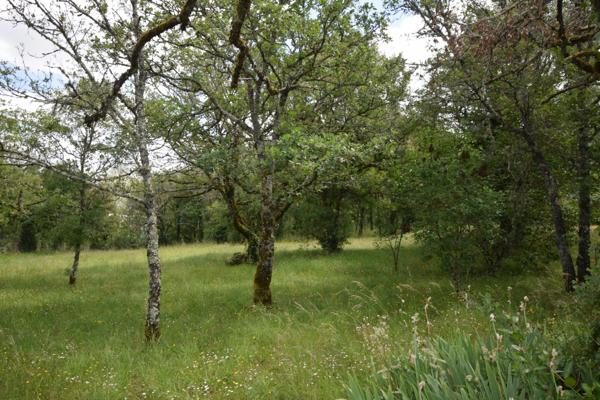 Maison en bois à vendre 3 pièces VERS (46)