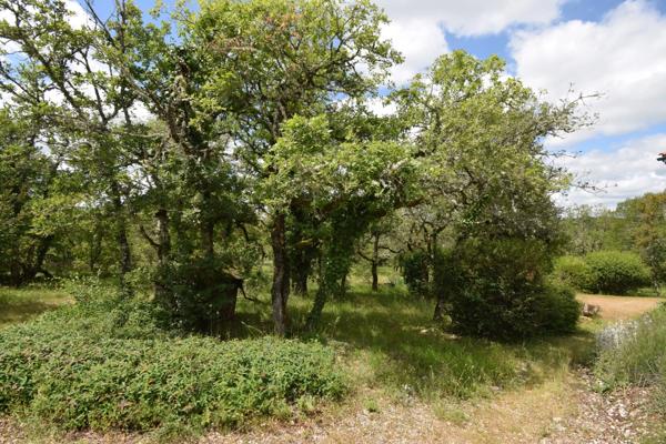 Maison en bois à vendre 3 pièces VERS (46)