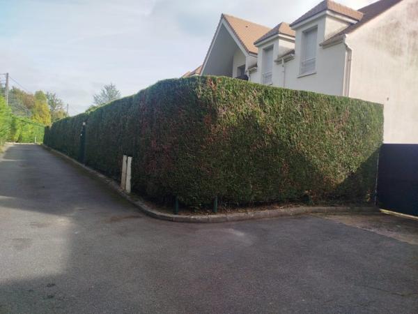 Vente murs / Château / Domaine