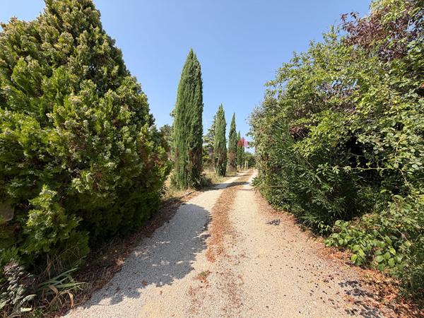 A VENDRE MAISON AVEC TERRAIN DE 5000m² (26120) , Chabeuil A VENDRE MAISON AVEC TERRAIN DE 5000m² (26120) , Chabeuil