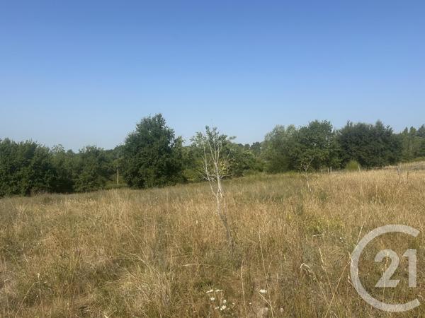 Terrain à vendre  30000 m2 VILLENEUVE SUR LOT - 47