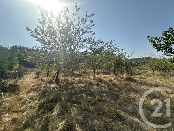 Terrain à vendre  30000 m2 VILLENEUVE SUR LOT - 47