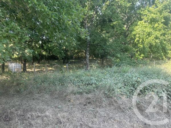Terrain à vendre  30000 m2 VILLENEUVE SUR LOT - 47