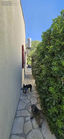 Achat - Maison Clapiers 34830 4 pièces 103 m 2 426 m 2