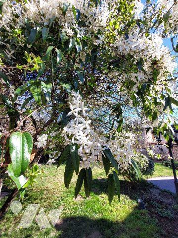 Maison à vendre Ainay-le-Château