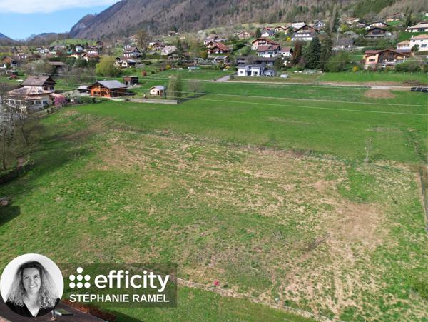 Terrain - 7000 m²