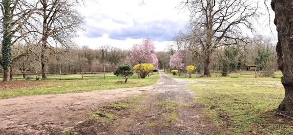 THENON (24)A vendre, Propriété composée de deux maisons sur 5.5 ha de prés (possibilité haras) et de bois.