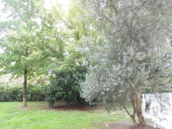 Location appartement 1 pièce 20 m² Saint-Jean