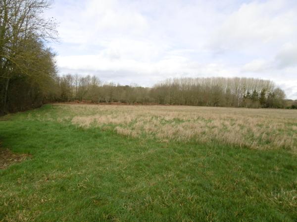 Maison sur sous sol 4 chambres. 1hectare 700 de terrain .80 m2 de dépendances