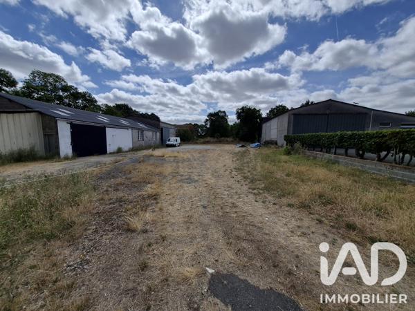 Terrain à vendre 725 m² Chemillé-en-Anjou