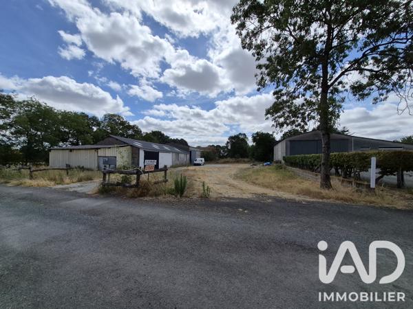 Terrain à vendre 725 m² Chemillé-en-Anjou