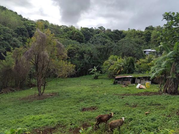 Vente                                                      Terrain
                        
                                         1549 m2                     à Saint-Esprit