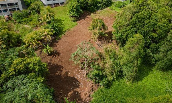 Vente                                                      Terrain
                        
                                         1549 m2                     à Saint-Esprit