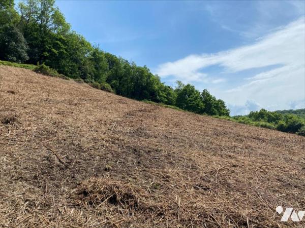 Au calme Belle Exposition et Belle Vue Dégagée.