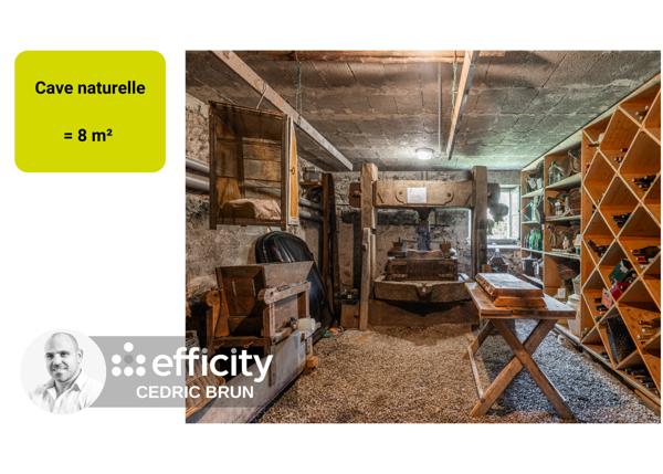 Maison 7 pièces - 773 m² Exclusivité efficity