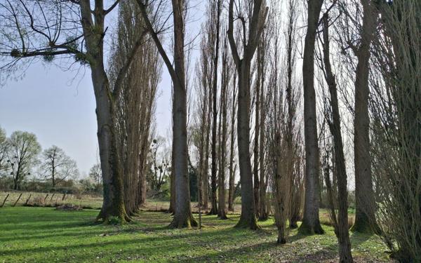 Maison à vendre    4 pièces •  Cosne-Cours-sur-Loire