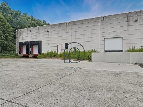 📦 Entrepôt logistique de 2 673 m² sur terrain indépendant de 5 000 m² – Halluin (frontière belge)