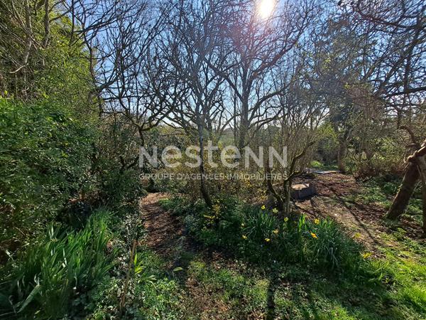 Maison 5 chambres située à Fontenay Le Comte avec parc, piscine et pool house