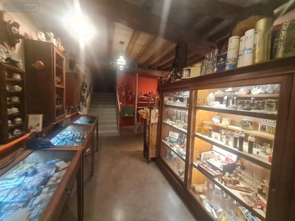 Maison à vendre à Montoire-sur-le-Loir dans le Loir-et-Cher (41800), ref : 41059-981