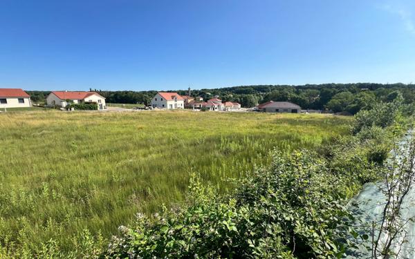 Terrain à vendre    Baudonvilliers