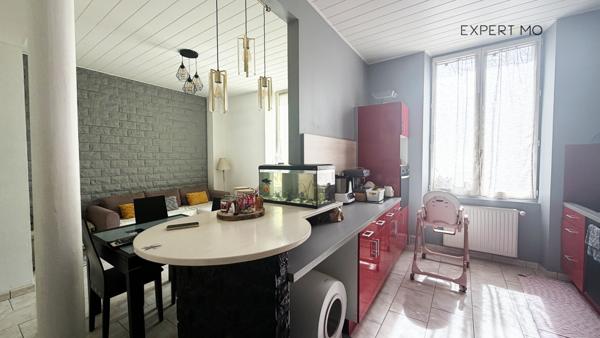 Vizille (38220) Appartement 3P 65 m2 avec garage