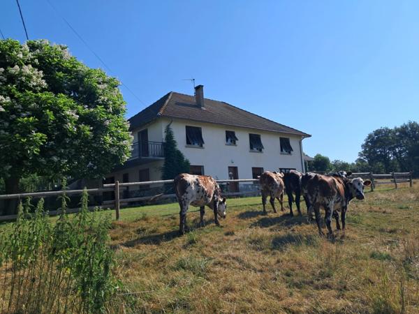 Maison au calme à vendre 7 pièces sur belle surface de terrain