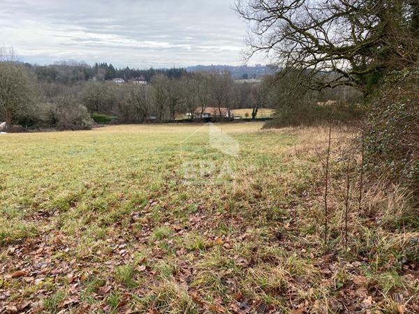 A Vendre beau terrain constructible à Trélissac (24750)