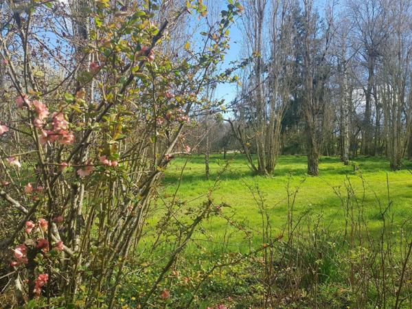 Propriete à vendre à Maray dans le Loir-et-Cher (41320), ref : 41036/2559