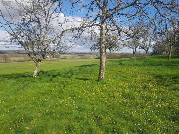 Propriete à vendre à Maray dans le Loir-et-Cher (41320), ref : 41036/2559