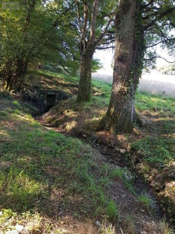 Propriete à vendre à Maray dans le Loir-et-Cher (41320), ref : 41036/2559