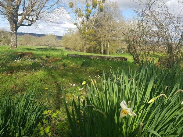 Propriete à vendre à Maray dans le Loir-et-Cher (41320), ref : 41036/2559