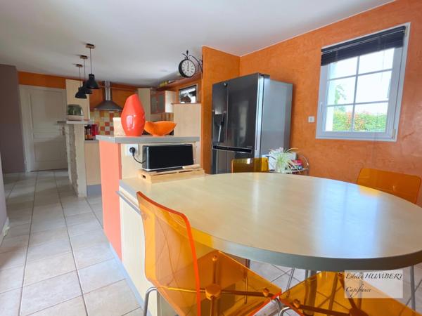 Maison 210m2, 6 pièces-3 garages (85)