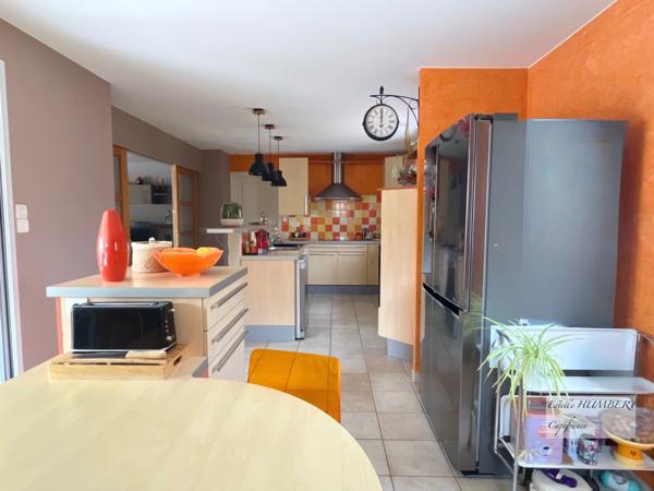 Maison 210m2, 6 pièces-3 garages (85)