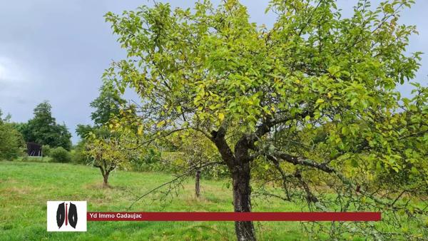Terrain Constructible 1200 m2