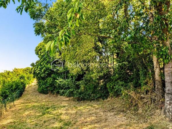 À seulement quelques minutes du centre-ville d'Auch, dans le quartier très recherché du Seilhan, découvrez cette maison d'environ 135 m² habitables offrant 4 chambres, un terrain d'environ 1 600 m² et une remarquable dépendance de 57 m². À proximité immédiate des commerces (Leclerc, Intermarché), des médecins, des écoles et des berges du Gers, elle réunit espace, fonctionnalité et potentiel.
La dépendance de 57 m², équipée d'une fosse mécanique et d'une pièce carrelée avec eau et électricité, constitue un véritable atout pour un artisan, un passionné d'automobile ou toute personne recherchant un vaste espace polyvalent.

Le rez-de-chaussée accueille une cuisine aménagée et équipée, un salon chaleureux sublimé par une magnifique cheminée en travertin, deux salles d'eau, un WC indépendant ainsi qu'un espace bureau ou dressing. À l'étage, accessible également par une entrée indépendante, vous découvrirez quatre chambres, une kitchenette, un WC et une pièce disposant déjà des arrivées d'eau et des évacuations nécessaires à la création d'une salle d'eau. Cette configuration offre de nombreuses possibilités d'aménagement selon vos projets, qu'il s'agisse d'une grande maison familiale, d'un espace indépendant ou d'une activité professionnelle..

Le chauffage est assuré par une chaudière au gaz, complétée par une climatisation réversible au rez-de-chaussée et un système gainable à l'étage, garantissant un confort toute l'année.

À l'extérieur, le terrain d'environ 1 600 m² offre plusieurs espaces distincts : jardin, vaste cour de stationnement, dépendance et différents enclos clôturés pouvant accueillir des petits animaux, être transformés en potager  ou être réaménagés selon vos envies. Depuis l'étage, certaines pièces bénéficient d'une agréable vue sur la cathédrale d'Auch.

Les + qui font la différence :

-  Quartier résidentiel recherché du Seilhan
-  DPE C 
-  Terrain clos et arboré
-  4 chambres
-  Hangar indépendant de 57 m²
-  Fosse mécanique dans le garage + pièce carrelée
-  Grand espace de stationnement
-  Chauffage gaz + climatisation réversible + gainable à l'étage
-  Belle vue dégagée et vue sur la cathédrale depuis certaines pièces de l'étage.
-  Proximité immédiate de Leclerc, Intermarché, des médecins, des écoles et des berges du Gers
-  Fort potentiel pour une famille, un artisan ou une activité nécessitant un grand espace de stockage

Une propriété aux multiples atouts, alliant le charme de l'ancien rénové, des équipements modernes, de généreuses dépendances et un emplacement privilégié dans le quartier du Seilhan. Une visite vous permettra d'en apprécier tout le potentiel.

*** Visite virtuelle sur demande***