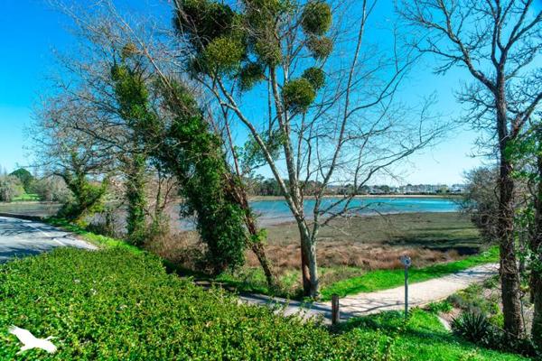 Maison à vendre |                                       La Forêt-Fouesnant |                                        10 pièces  |  226 m²