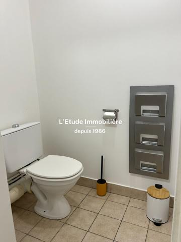 SPECIAL COLOCATION : FORMEZ VOTRE COLOCATION - GRATTE CIEL - 8 RUE DES MURIERS - T4 MEUBLE AU CALME - 97 m² - 3 chambres, Villeurbanne 69100