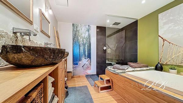 Ensemble immobilier avec maison de 300m²  - 5 gites et 2 piscines