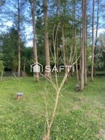 Idéal gîte,Airbnb,famille d'accueil,Grande famille