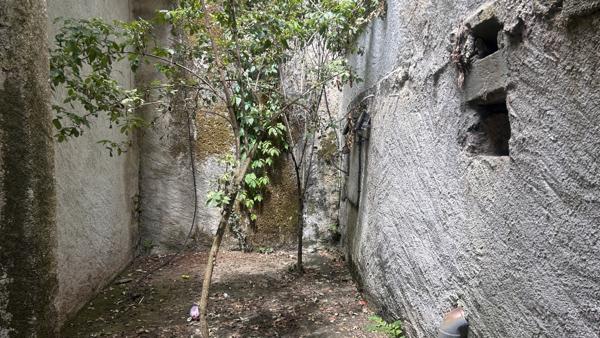 INVESTISSEURS Nord Aveyron : Hôtel particulier du XVIIe siècle à réinventer Potentiel 360 m² Mur de barrez